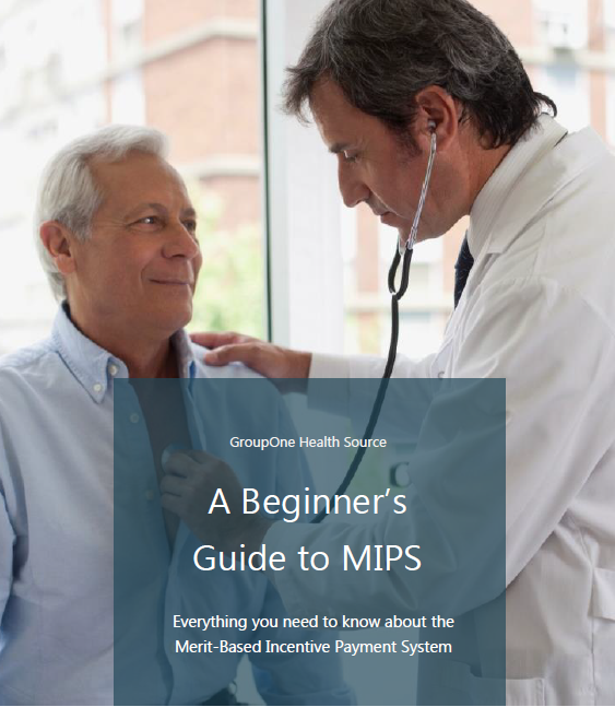 Beginners Guide to MIPS
